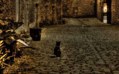 Teatro en Carril del Conde en apoyo de la Cabalgata Participativa de Hortaleza: ‘El callejón de los gatos’